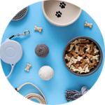 Dog Accessories & Toys