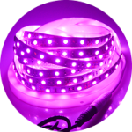 LED Strip Lights